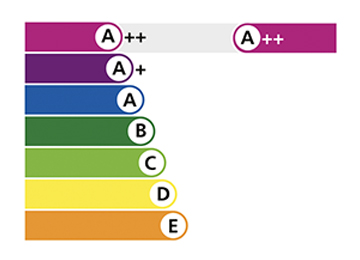 Energy Efficient Standish